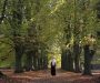 Open tuinmiddag OLV Abdij Oosterhout – Kennismaken met religieus erfgoed