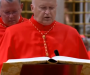 Kardinaal Nemet wil af van gezwets zogenaamde Vaticaankenners