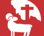 Paus Leo moedigt spirituele bewegingen in de Kerk aan, maar….