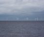 Offshore windparken veranderen het leven in de zee