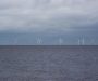 Offshore windparken veranderen het leven in de zee