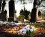 Na 14 jaar op begraafplaats in Limburg werd kapelaan Teurlings herbegraven in Raalte