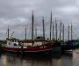 Europese vis zwaar vervuild met PFAS