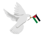 Paus: vredesakkoord Gaza is een sprankje hoop
