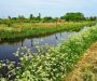 Meer natuurlijk grasland en meer bebouwing